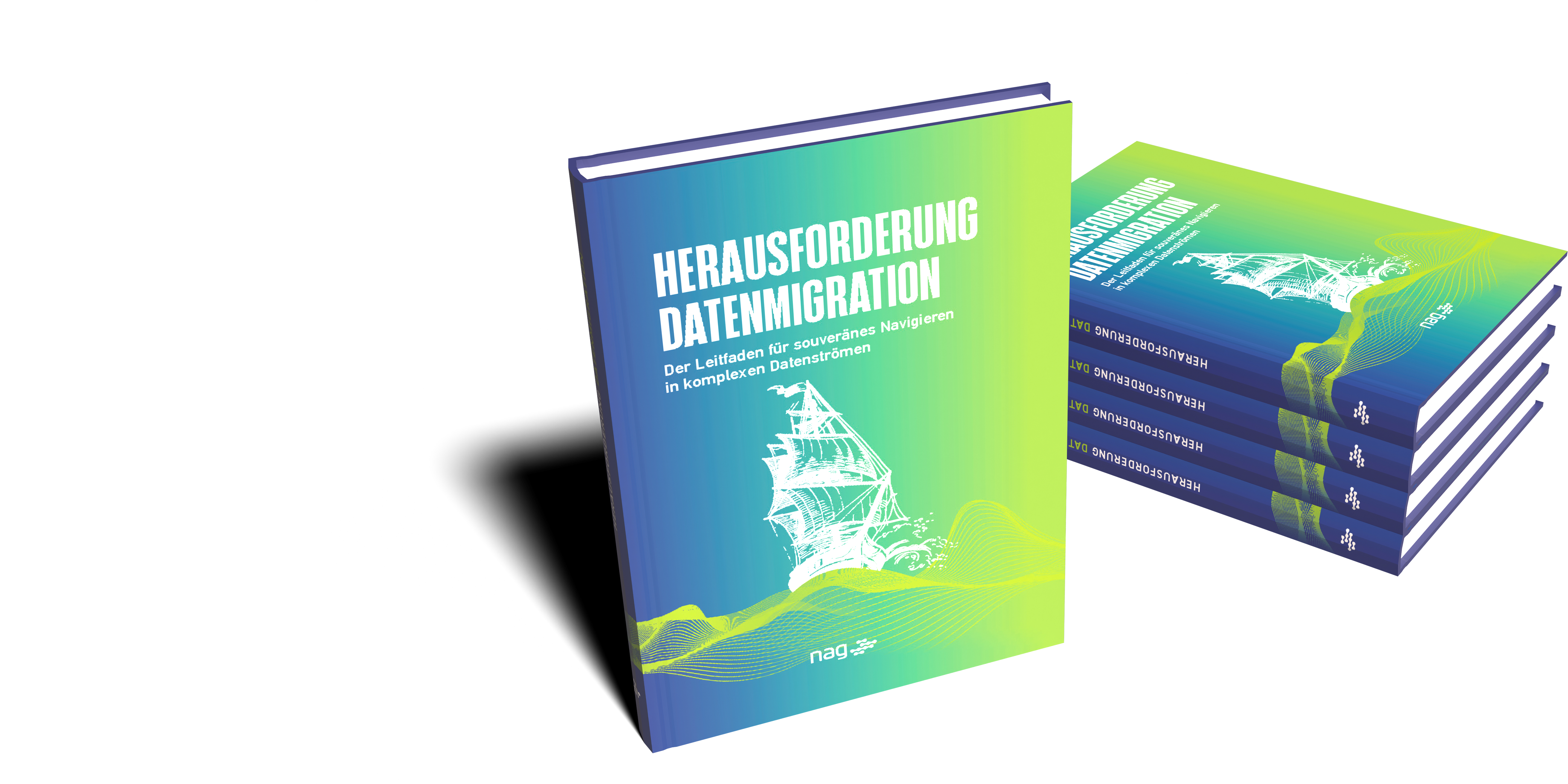 In diesem Buch stehen 30 Jahre Erfahrungen mit komplexen Datenmigrationen.